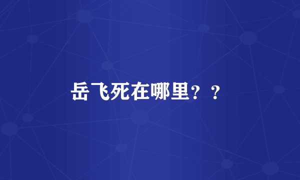 岳飞死在哪里？？