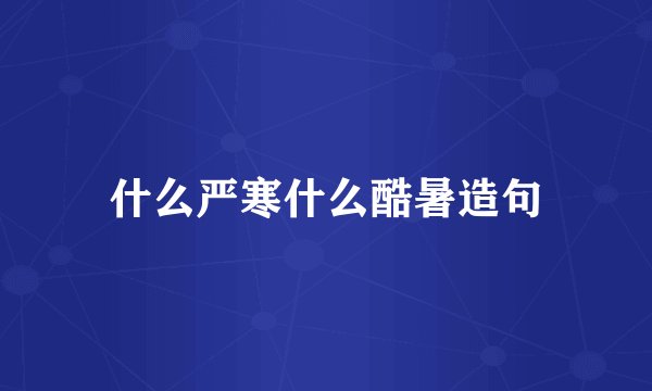 什么严寒什么酷暑造句