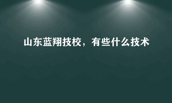 山东蓝翔技校，有些什么技术