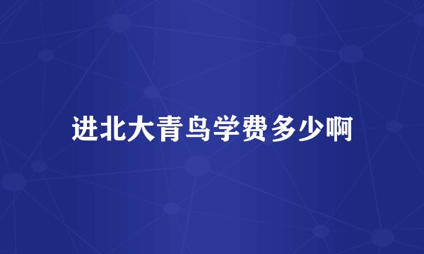 进北大青鸟学费多少啊