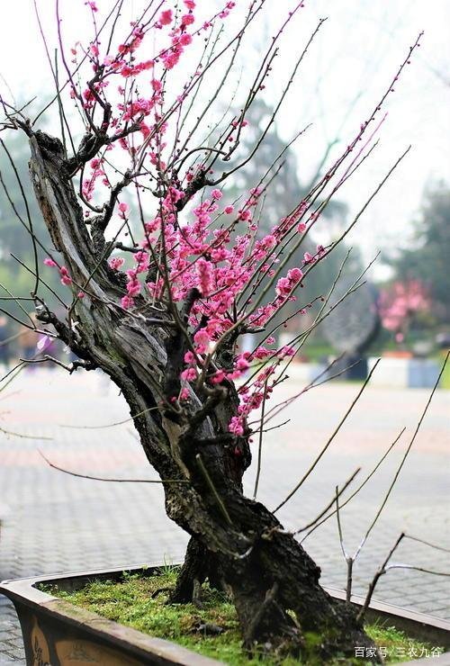 老龄化标准是怎么样呢?