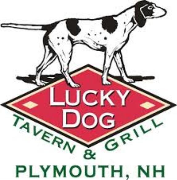 a lucky dog是什么意思