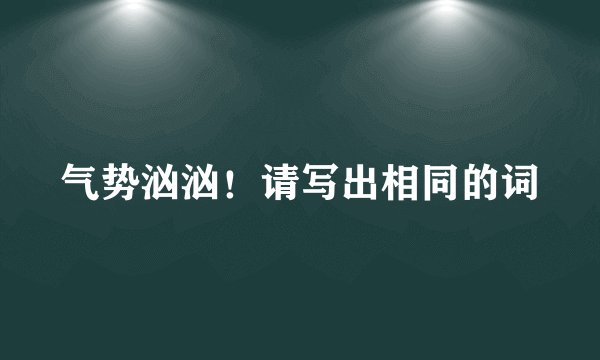 气势汹汹！请写出相同的词
