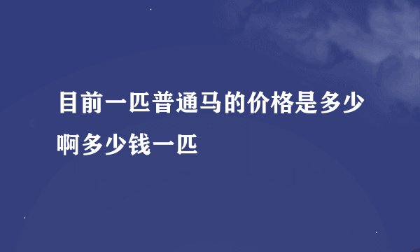 目前一匹普通马的价格是多少啊多少钱一匹
