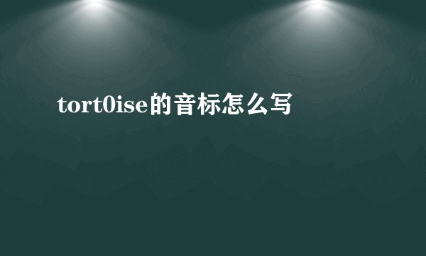tort0ise的音标怎么写