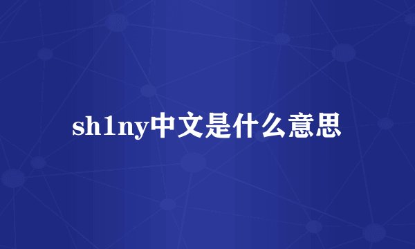 sh1ny中文是什么意思