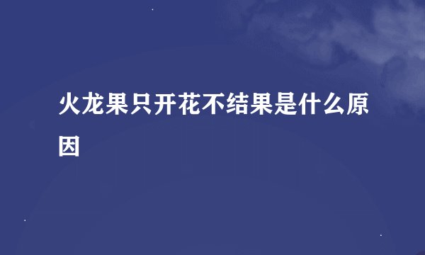 火龙果只开花不结果是什么原因