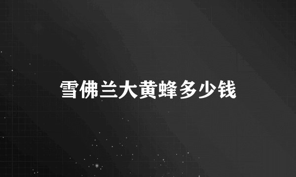雪佛兰大黄蜂多少钱