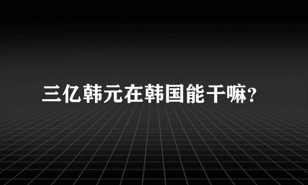 三亿韩元在韩国能干嘛？