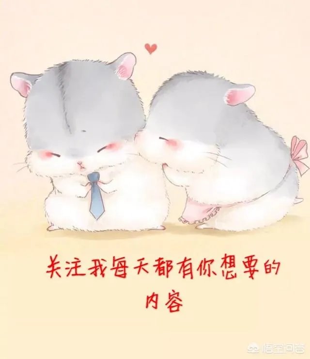 手机挖矿app会不会有发展前景？