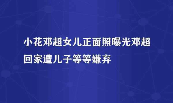 小花邓超女儿正面照曝光邓超回家遭儿子等等嫌弃