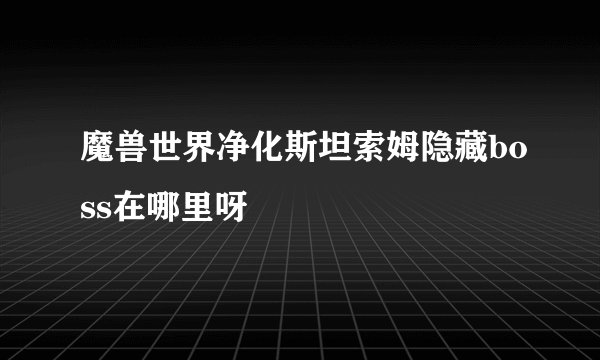 魔兽世界净化斯坦索姆隐藏boss在哪里呀