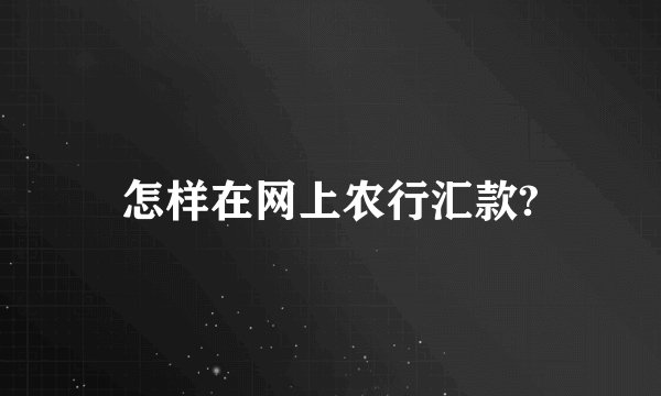 怎样在网上农行汇款?