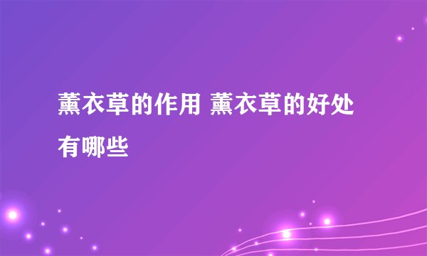 薰衣草的作用 薰衣草的好处有哪些