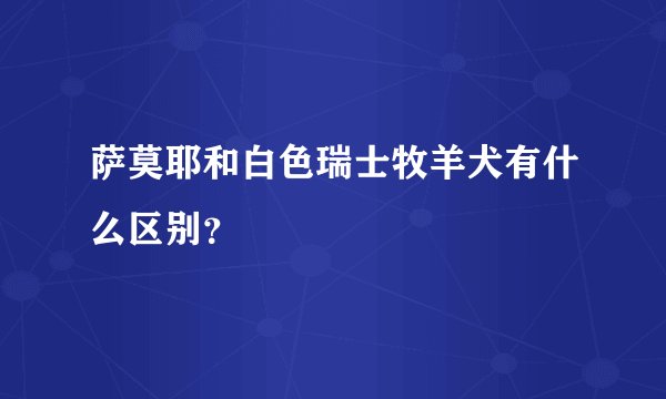 萨莫耶和白色瑞士牧羊犬有什么区别？