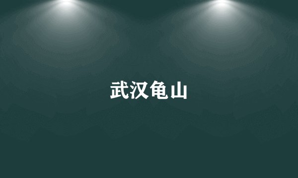 武汉龟山