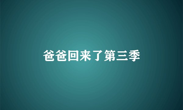 爸爸回来了第三季
