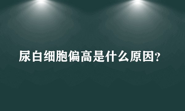 尿白细胞偏高是什么原因？