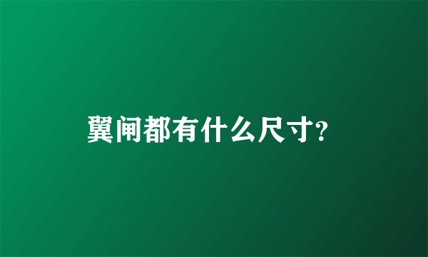 翼闸都有什么尺寸？