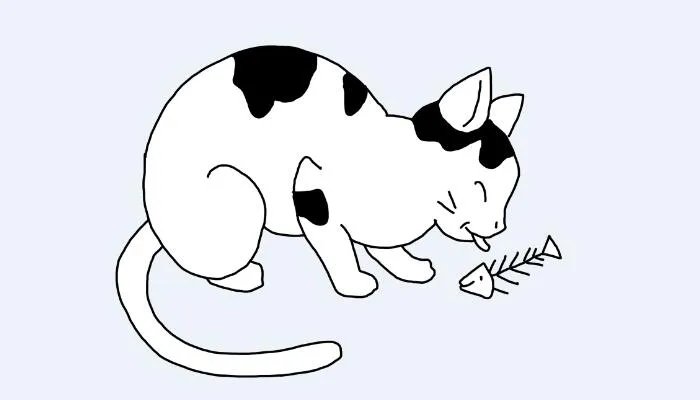 猫为什么喜欢吃鱼
