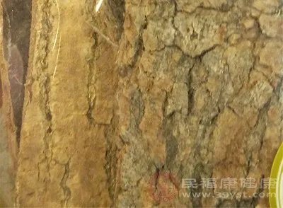 杜仲功效与作用