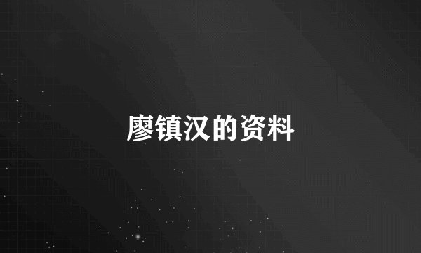 廖镇汉的资料