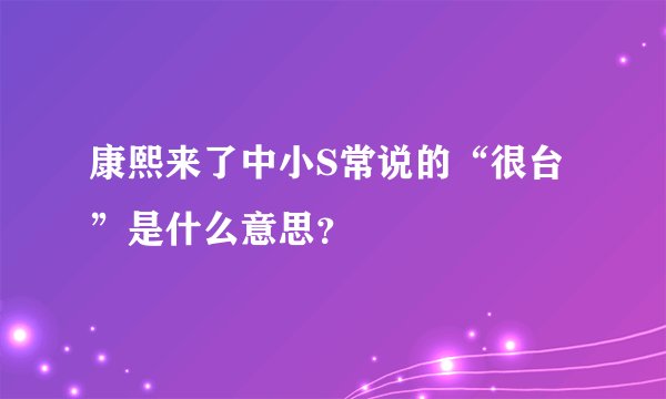 康熙来了中小S常说的“很台”是什么意思？