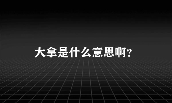 大拿是什么意思啊？