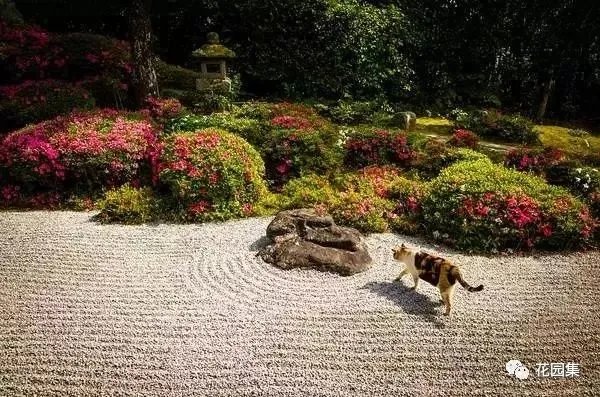 60款醉美庭院枯山水景观,不得不爱~
