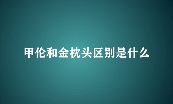 甲伦和金枕头区别是什么