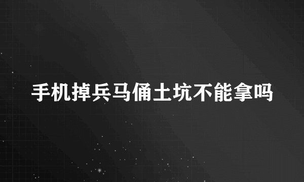 手机掉兵马俑土坑不能拿吗