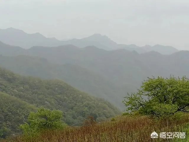 秦岭72峪最值得去的几个