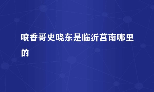 喷香哥史晓东是临沂莒南哪里的