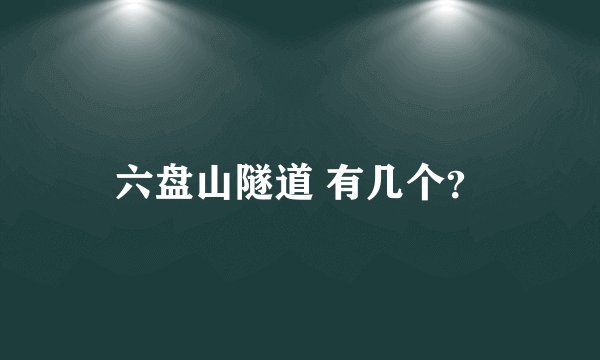 六盘山隧道 有几个?
