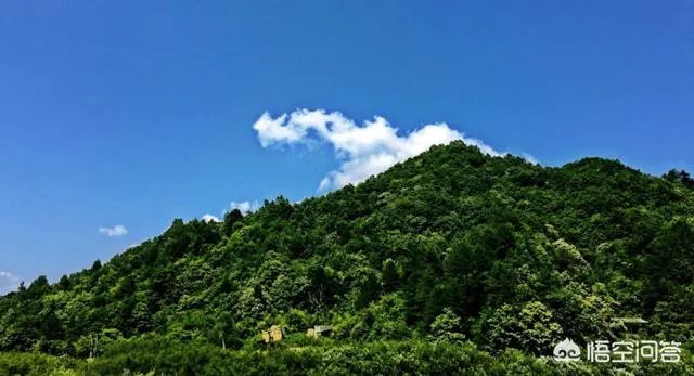 秦岭72峪最值得去的几个