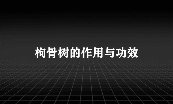 枸骨树的作用与功效