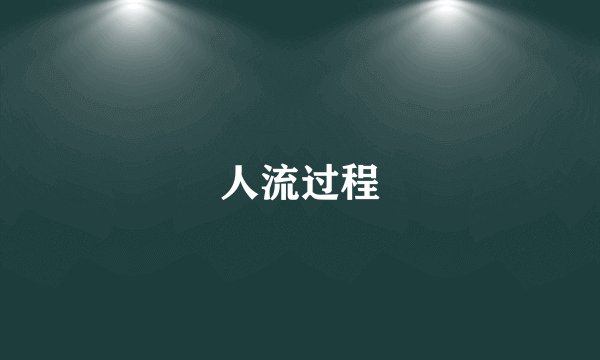 人流过程