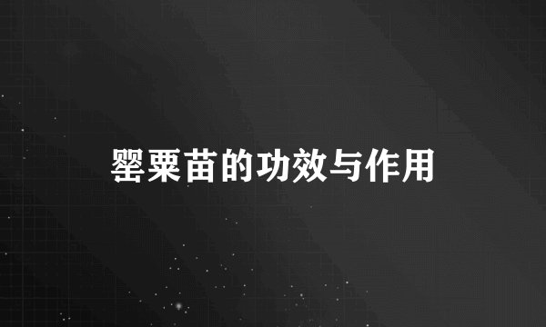 罂粟苗的功效与作用