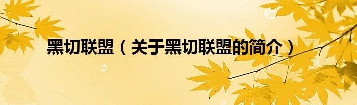 黑切联盟（关于黑切联盟的简介）