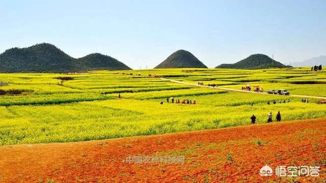 云南罗平有哪些旅游景点?