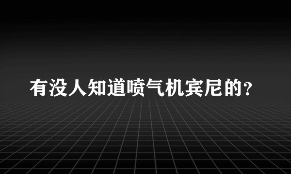 有没人知道喷气机宾尼的?