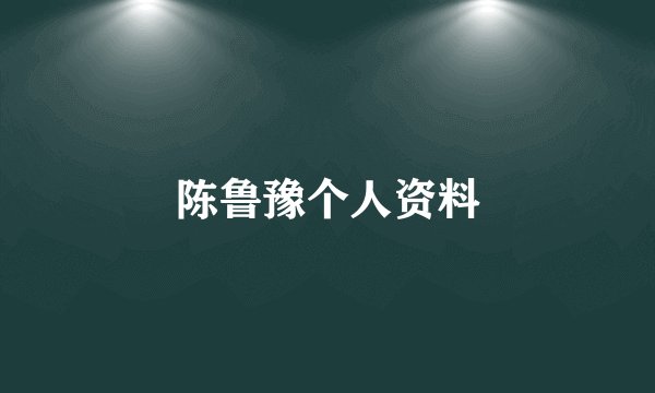 陈鲁豫个人资料