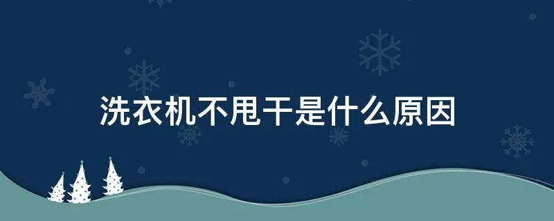 洗衣机不甩干是什么原因