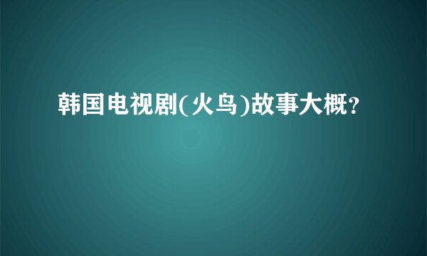 韩国电视剧(火鸟)故事大概？