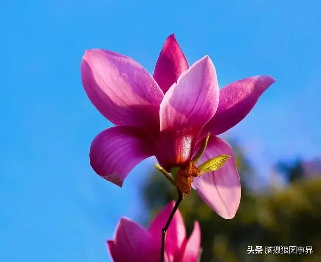摄影家摄影师