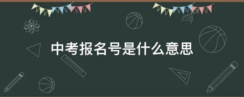 中考报名号是什么意思