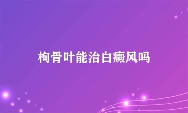 枸骨叶能治白癜风吗