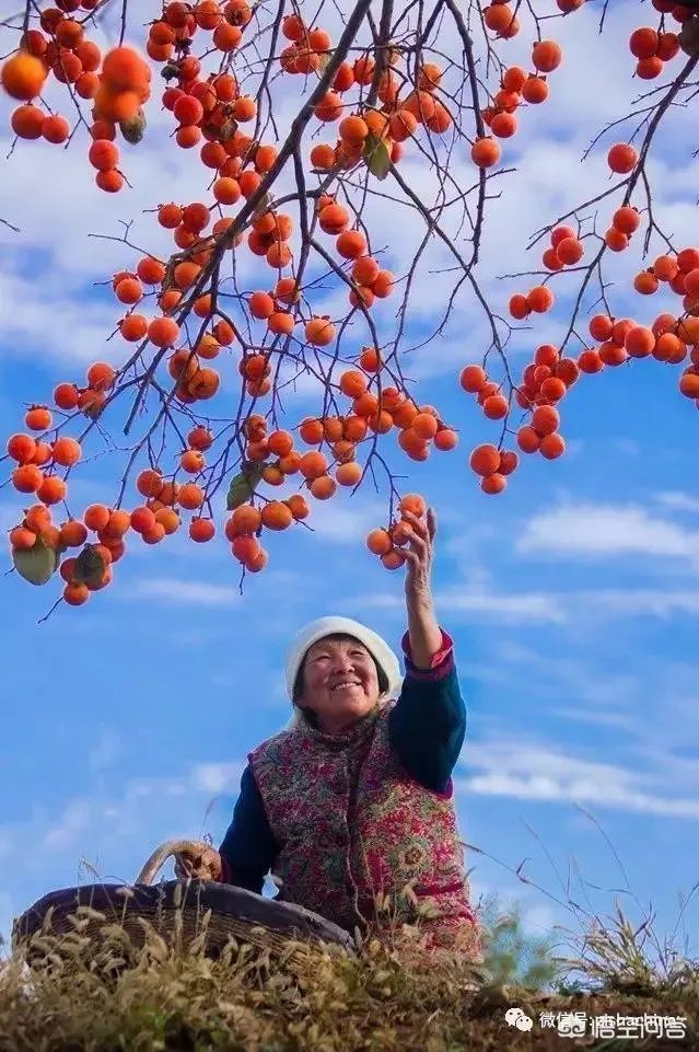 年年大丰收，下联怎么对？
