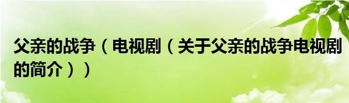 父亲的战争(电视剧(关于父亲的战争电视剧的简介))