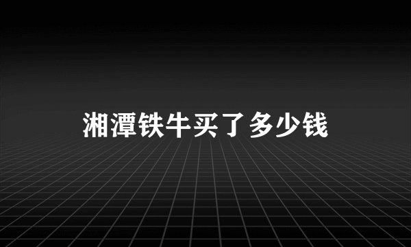 湘潭铁牛买了多少钱